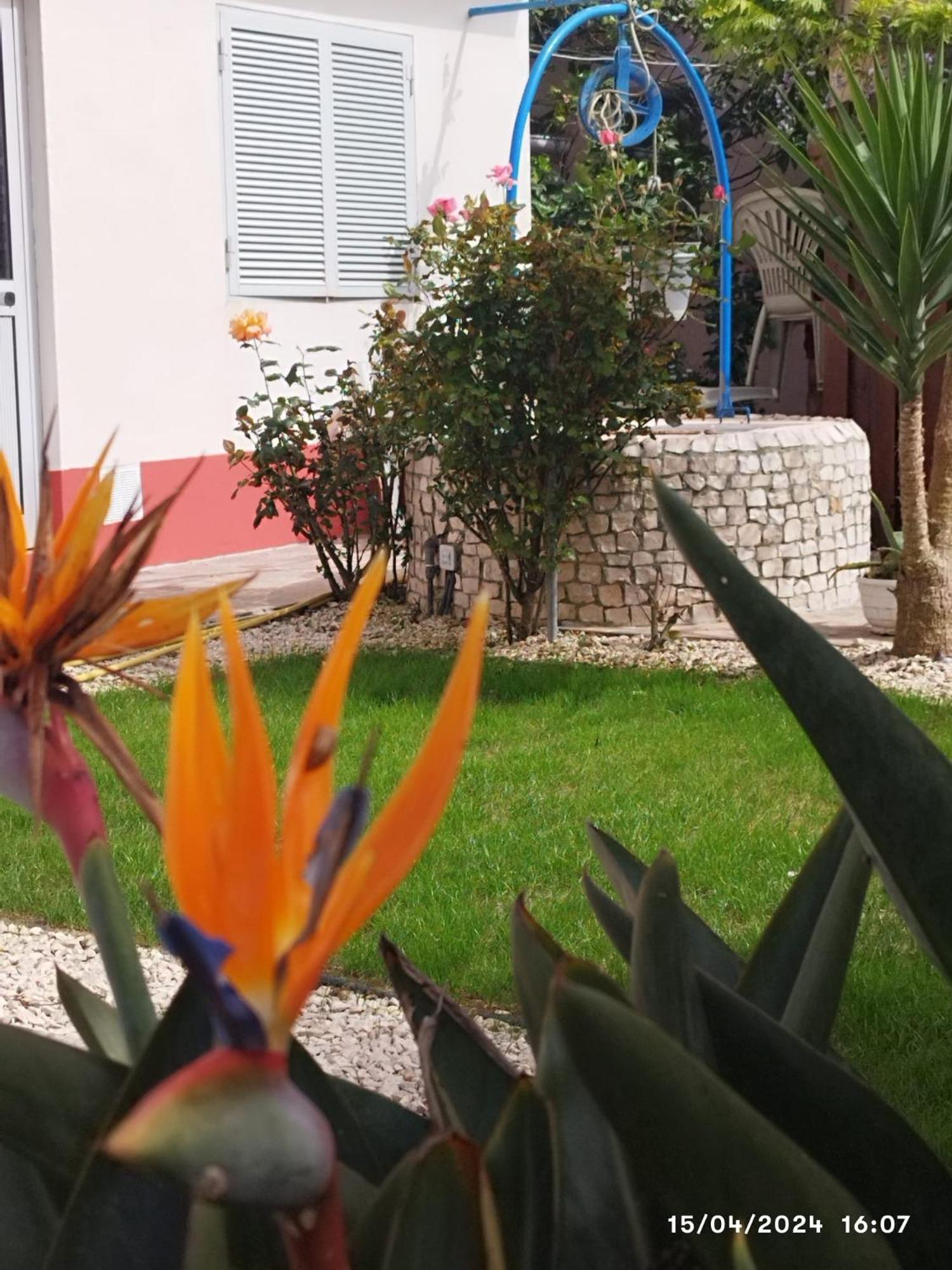 Ranch Lau&Ri Nazare Apartment Cela Velha Exterior photo